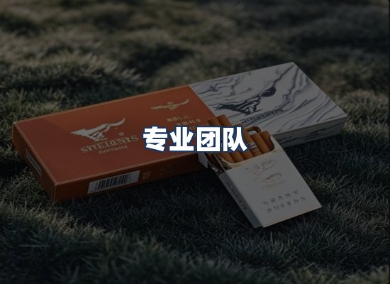 专业团队